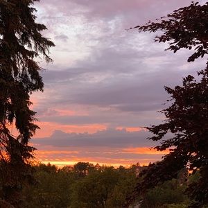 Meet your Posher, Autumn